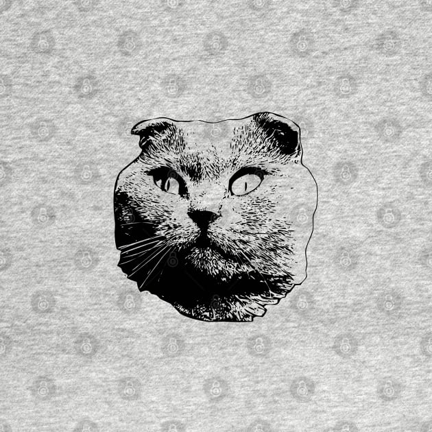 Scottish Fold Cat Art by ElegantCat